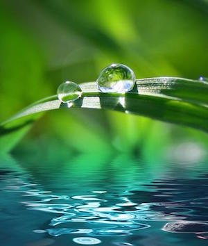 Good Clean Love's moisturizing effect to combat vaginal dryness and atrophy - image of a water droplet