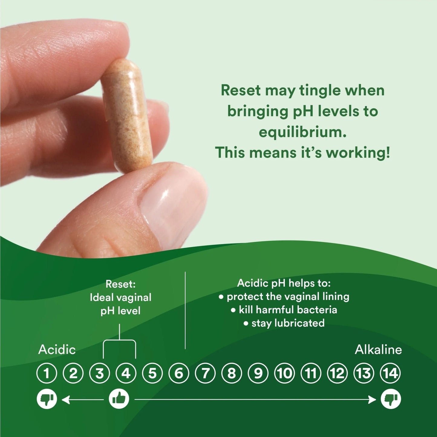 Reset Homeopathic Vaginal Suppository 3 Pack