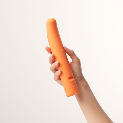 Soul Source GRS Pelvic Trainers - Large Set