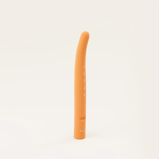 Soul Source Rigid Pelvic Trainer - Size #P2