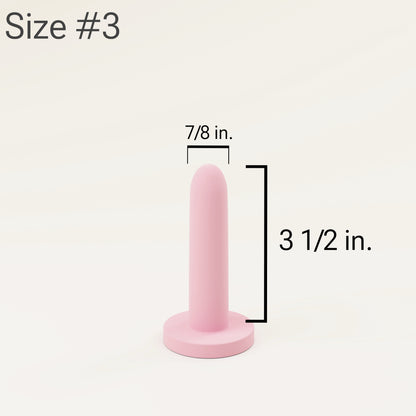 Soul Source Silicone Pelvic Trainers - Full Set